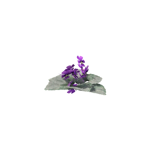 Violet_V2_LOD