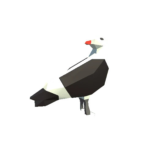 EA04_Animal_Bird_01a_PRE