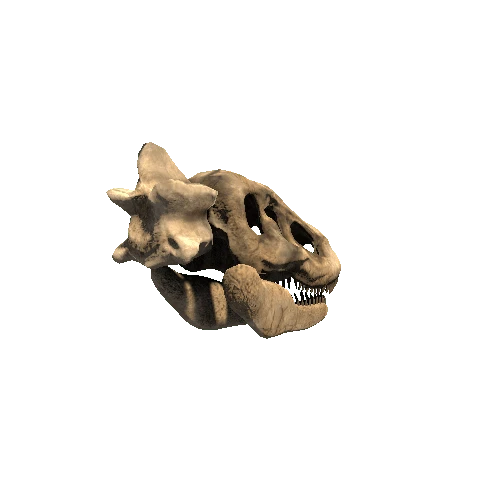 Desert_TRex_Skull_LODgrp