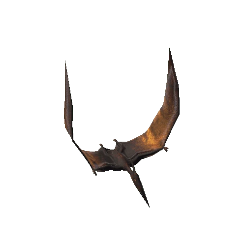 PteranodonColor1
