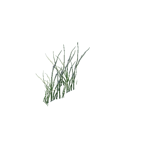 Grass_B_Group_01