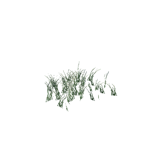 Grass_B_Group_04