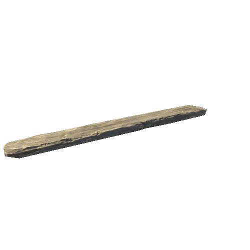 Plank_04