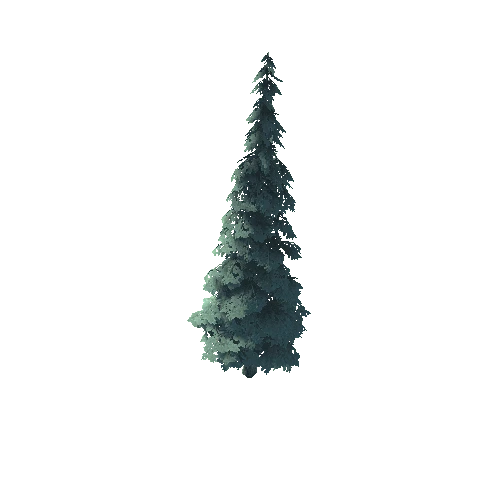 Tree_A_01