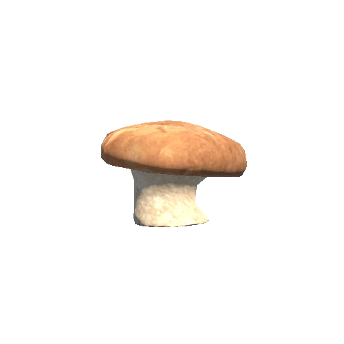 Mushroom