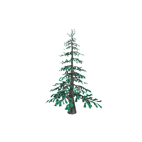 tree_2