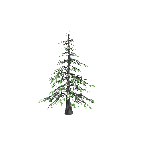 tree_3_1