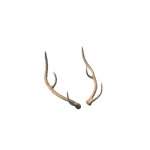 Chital_M_Antlers01_Prefab