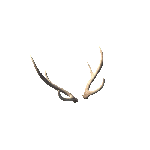 Chital_M_Antlers02_Prefab