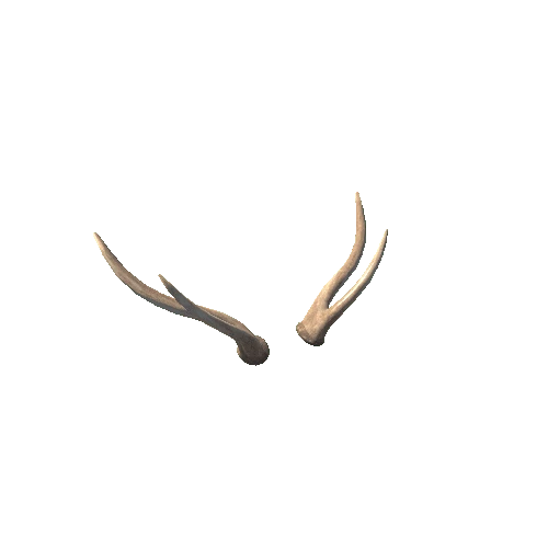 Chital_M_Antlers03_Prefab