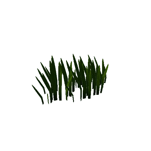 Grass