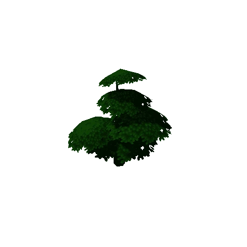 Tree_04