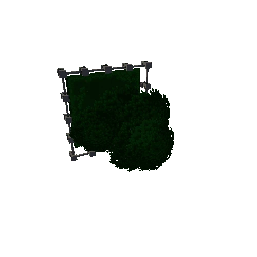 Tree_04_F1