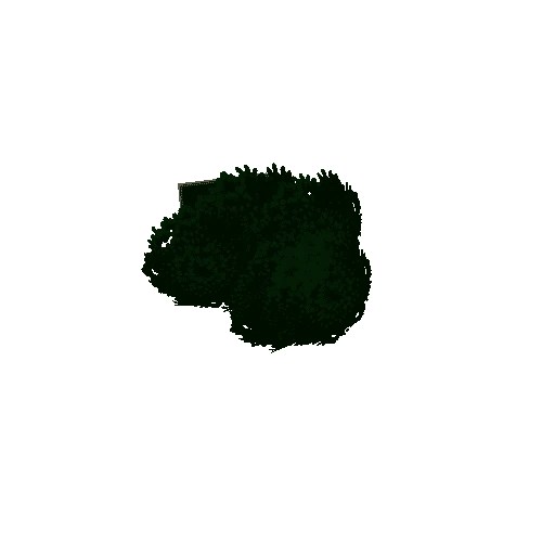 Tree_04_F2