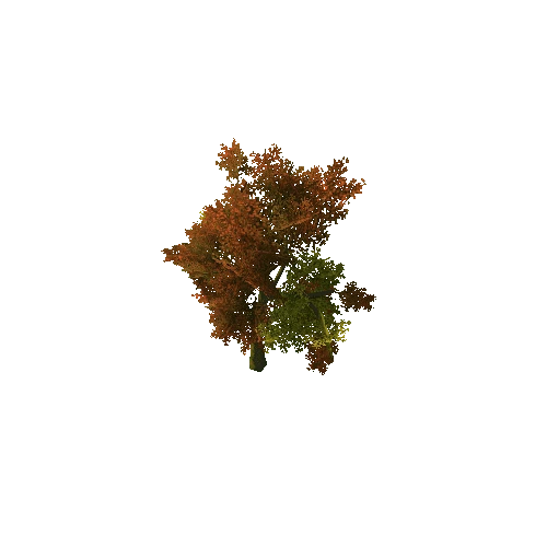 Beech_Tree_V7_1