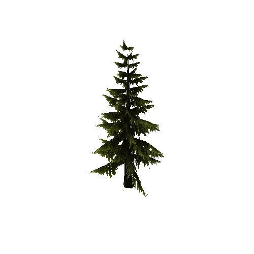 Pine_Tree_GreenBig