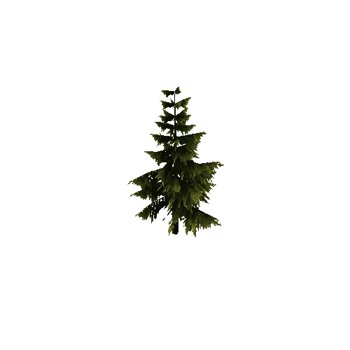 Pine_Tree_Green_1