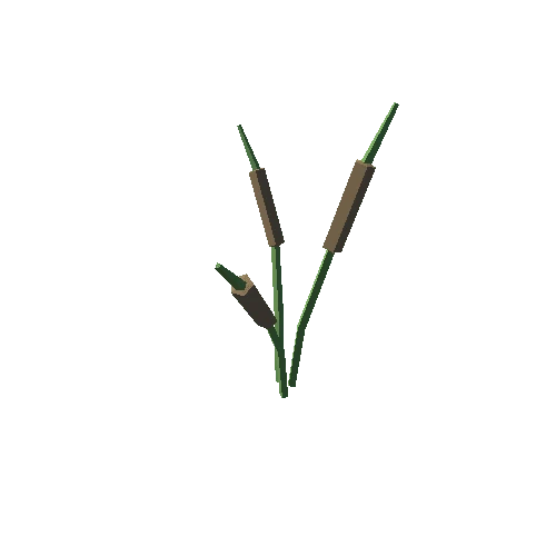 rpgpp_st_cattail_01a