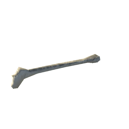 bone10