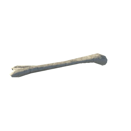 bone18