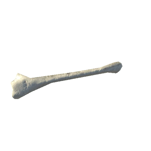 bone6