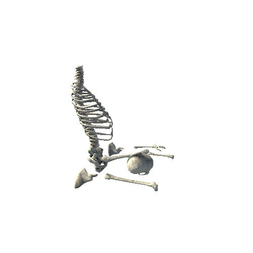 skeletonsit