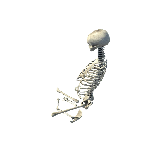 skeletonsit2