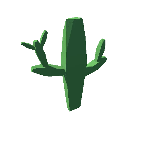 Cactus_1