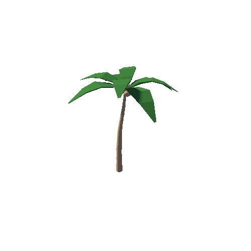 PalmTree_1