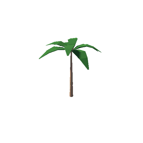 PalmTree_2