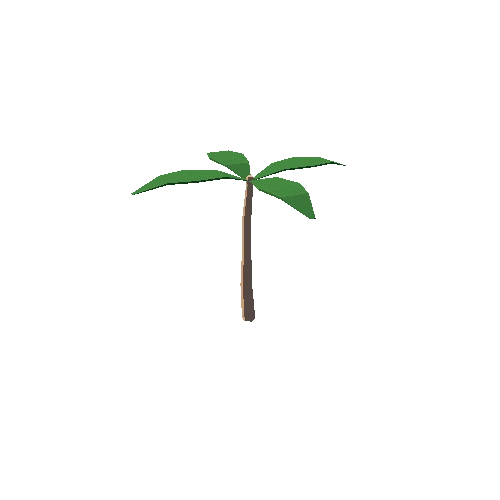 Plant_4