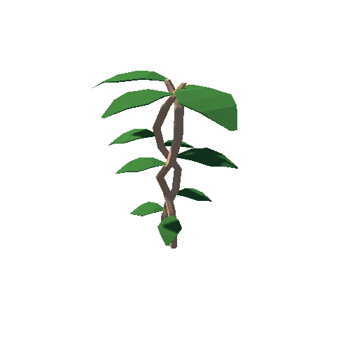 Plant_5