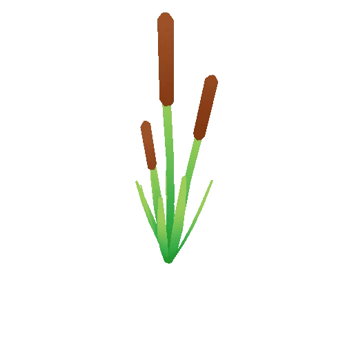 cattail_1