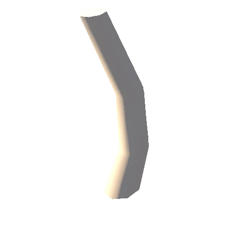 Bone2