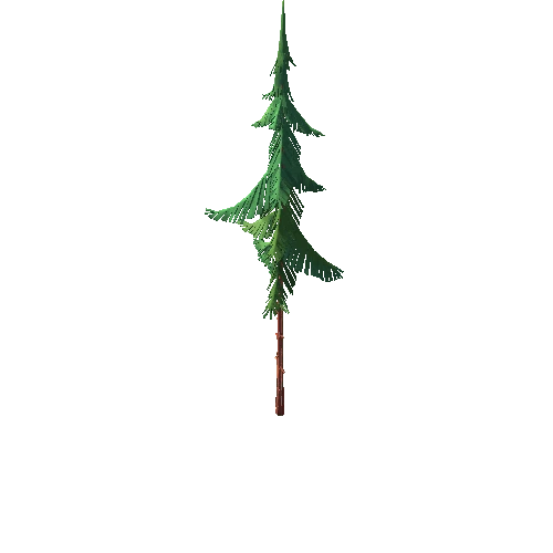 Forest_Spruce_01