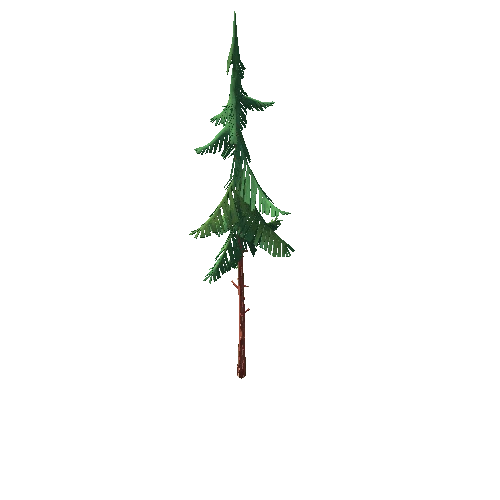 Forest_Spruce_03