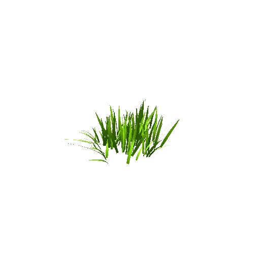 Grass_03