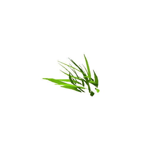 Grass_05