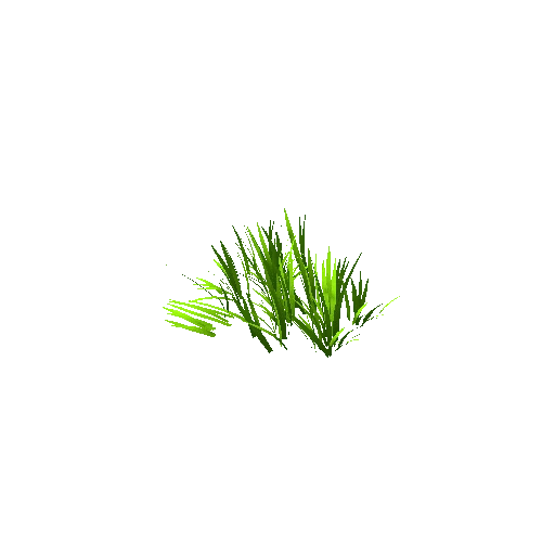 Grass_06