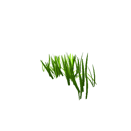 Grass_07
