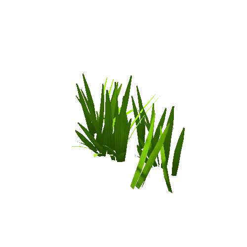 Grass_11