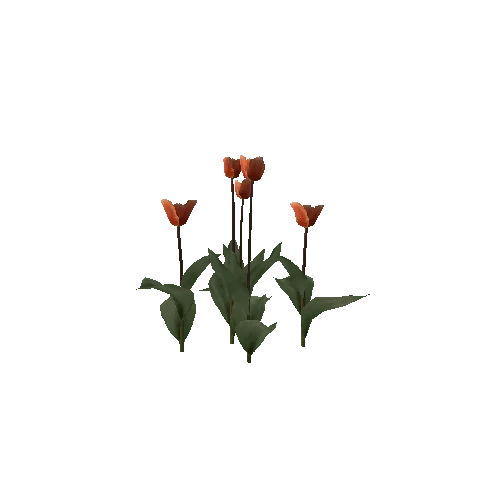 Tulipa-group3D