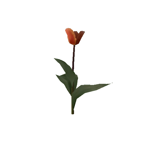 Tulipa1D