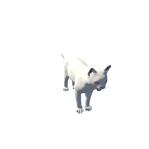 Cat_White_Prefab