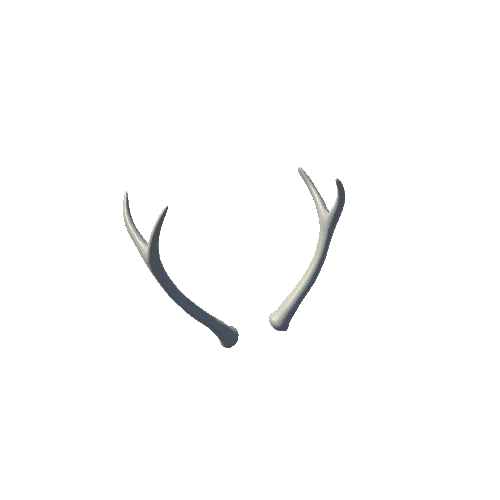 Elk_Antlers_Spike