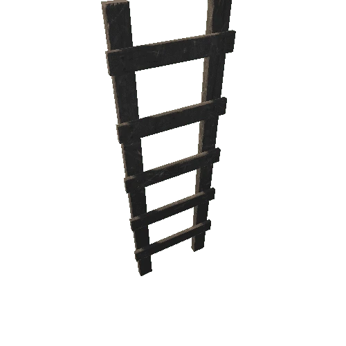 SM_Ladder