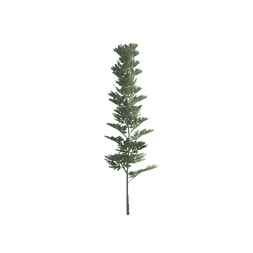 Artemisia2