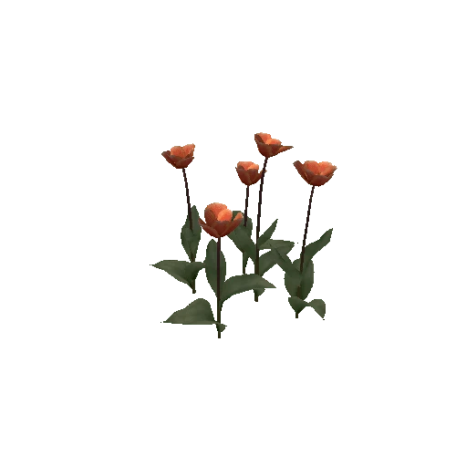 Tulipa-group3D-bloomer