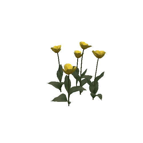 Tulipa-group3G-bloomer