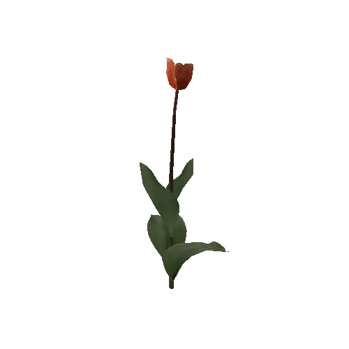 Tulipa3D